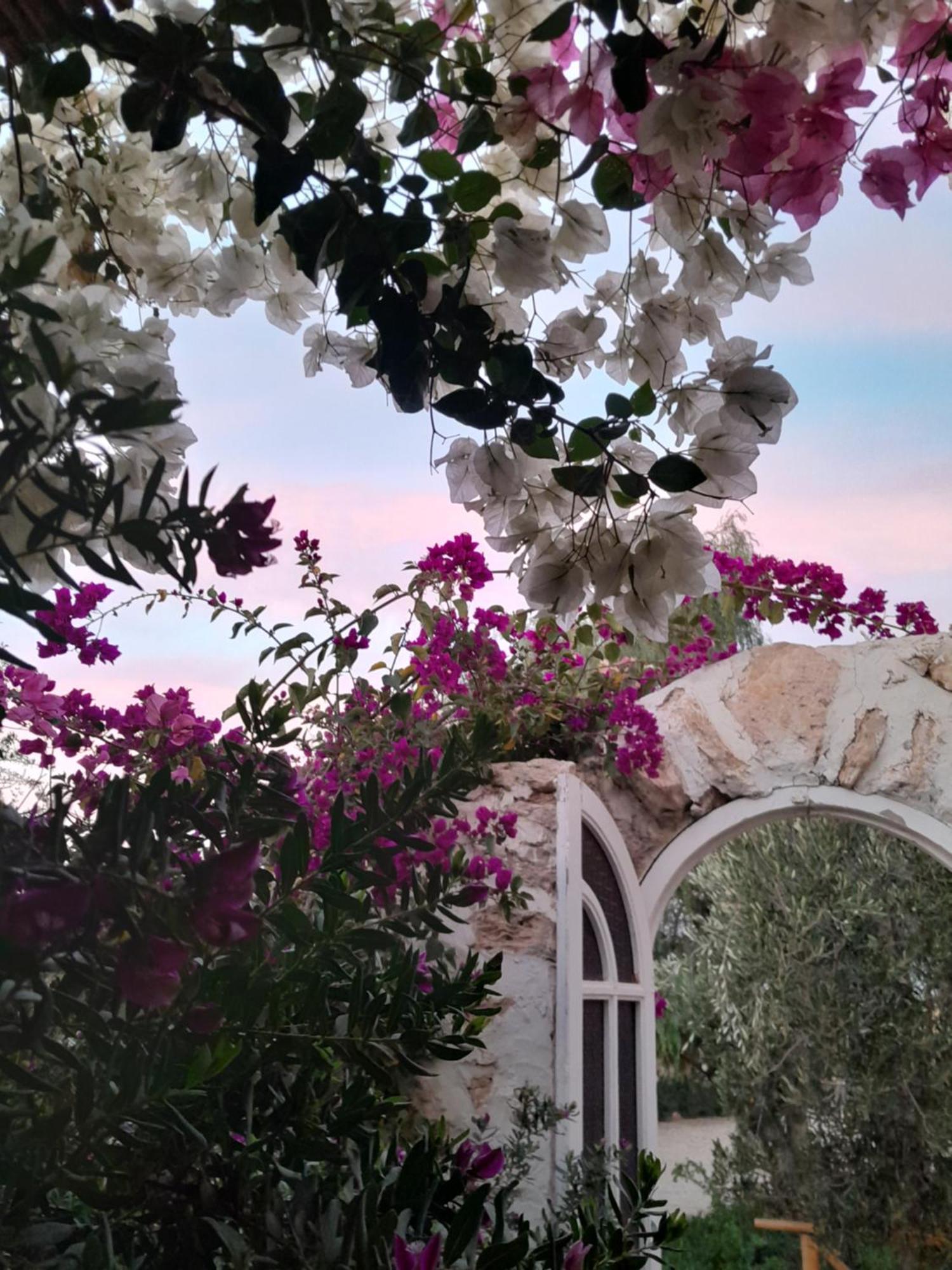 Riad Sanam Есувейра Екстериор снимка